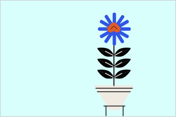 Blog Image 1